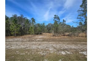 0 Portulaca Dr, INDIAN LAKE ESTATES