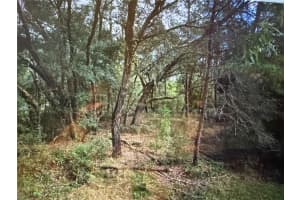 0 Ne 117th Ave Ave, FORT MC COY