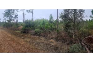 619 Calendula Dr, INDIAN LAKE ESTATES