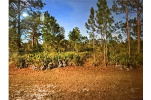 0 Key West Dr, INDIAN LAKE ESTATES