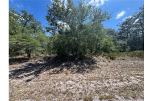 Oleander Dr, INDIAN LAKE ESTATES
