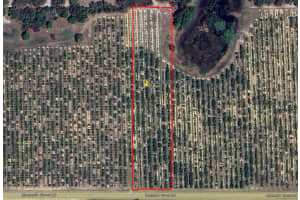 Mammoth Grove Road, LAKE WALES