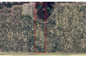 Mammoth Grove Road, LAKE WALES