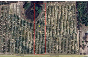Mammoth Grove Road, LAKE WALES