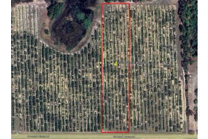 Mammoth Grove Road, LAKE WALES