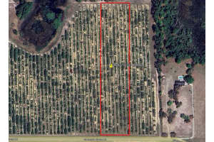 Mammoth Grove Road, LAKE WALES