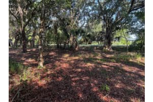 0 Camp Mack Rd, LAKE WALES
