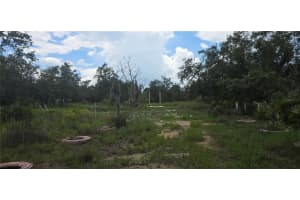 0 Woodville St, LAKE WALES