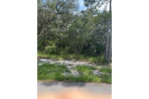 517 Granada Dr, INDIAN LAKE ESTATES
