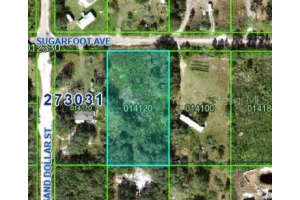 Sugarfoot Ave, LAKE WALES