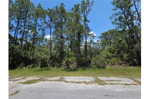 0 Allamanda Dr, INDIAN LAKE ESTATES