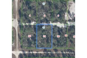 556 Parakeet Ave, SEBRING