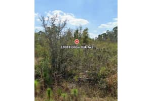 3108 Hollow Oak Ave, LAKE PLACID