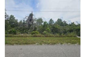 1009 Lotus St, LAKE PLACID