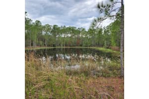 Lot 2 South Shore Dr, LAKE WALES