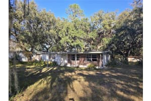 1124 S Wiggins Rd, PLANT CITY