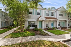 8671 Hunters Key Cir #8671, TAMPA