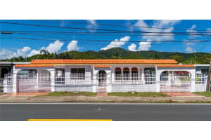 Carr. #3 Km 115 Bo. Guardarraya, PATILLAS