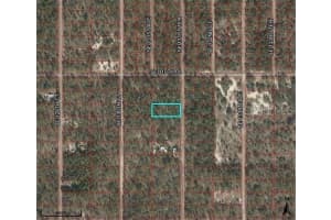 Se 130th Court, DUNNELLON