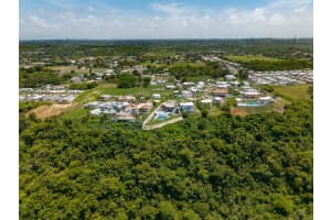 Carr. 2 Km. 94.0 Quintas De Camuy Int. Bo. Yeguada, CAMUY Carr. 2 Km. 94.0 Quintas De Camuy Int. Bo. Yeguada, CAMUY