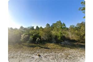 Sarasota Dr #11, INDIAN LAKE ESTATES