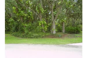 410 Anise Pl, KISSIMMEE