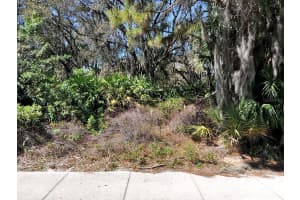 Channing Ave, NORTH PORT Channing Ave, NORTH PORT