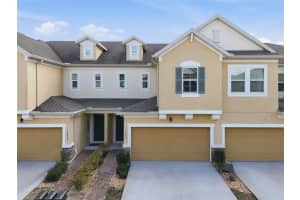 17436 Chateau Pine Way, CLERMONT