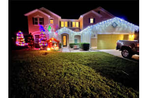 , WINTER GARDEN , WINTER GARDEN