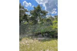 615 Mediterranean Ct, POINCIANA