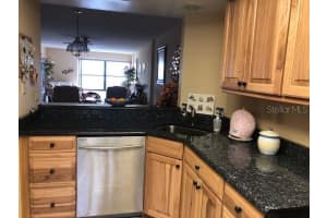 501 W Old Us Highway 441 #c-302, MOUNT DORA