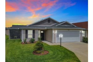 775 Barron Pl, THE VILLAGES