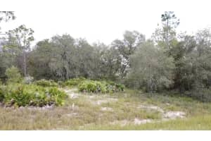 1405 Sarasota Ct, POINCIANA