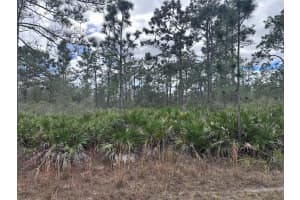 0 Allamanda Lot 11 Dr, INDIAN LAKE ESTATES