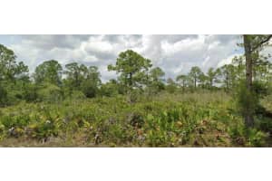 246 Cardinal Ave, SEBRING