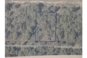0 Calliandra Dr, INDIAN LAKE ESTATES