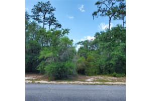 1345 St Augustine Ct, KISSIMMEE 1345 St Augustine Ct, KISSIMMEE