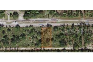 0 Tropicana Dr, INDIAN LAKE ESTATES