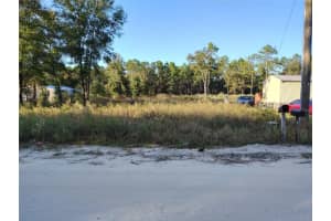 , DUNNELLON