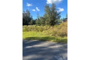 Undetermined Cir, DUNNELLON