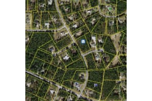 Southwest 206th Court Rd, DUNNELLON