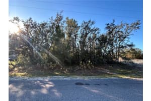 0 Amero Ln #13, SPRING HILL