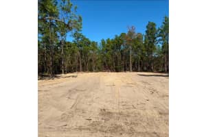 13831 Sw 89th Cir,, OCALA