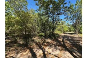 268 Spoonbill Dr, KISSIMMEE