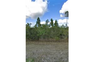 1008 Calliandra Dr, INDIAN LAKE ESTATES