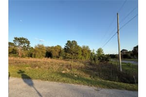 Lot 1 Sw 65th Loop, DUNNELLON