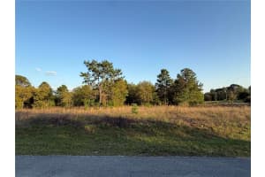 Lot 2 Sw 65th Loop, DUNNELLON