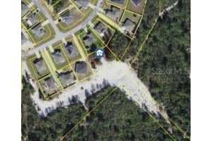 77 Orchid Ct, KISSIMMEE