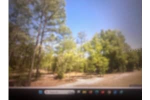 0 Sw 207 Ct, DUNNELLON