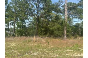 51 St Ct, OCALA
